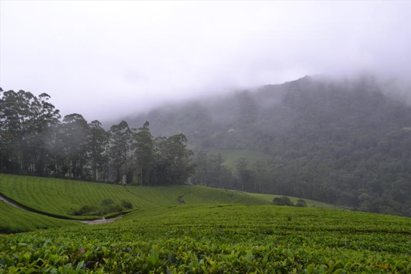 Meghamalai